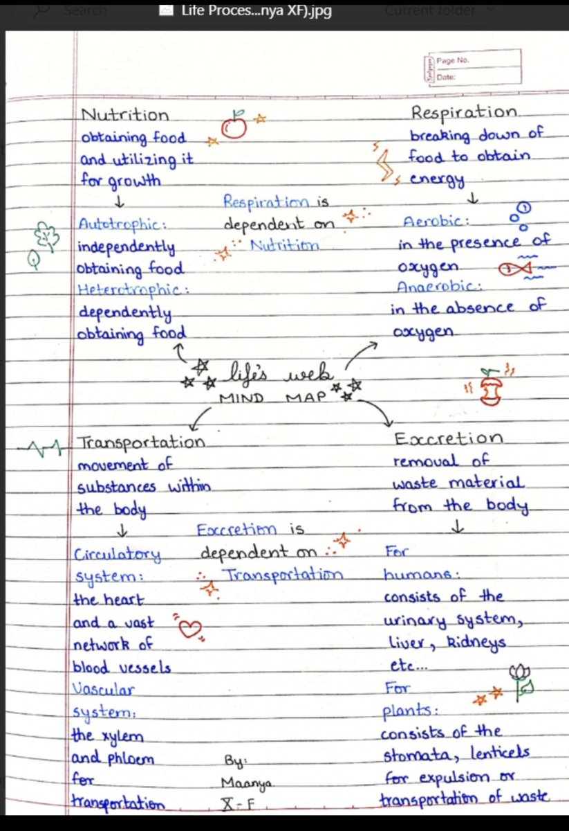 Niyativerma05's tweet photo. "Life's intricate web is woven from the threads of complex processes" 🧬🔭 Exploring the world of life processes with our Class X students #Lifeweb, discovering how life unfolds is truly awe-inspiring! 💡
@sdg4all @ashokkp @y_sanjay @pntduggal @kandhari_ekta @ChopraNavleen https://t.co/ty2lzjd7Ro