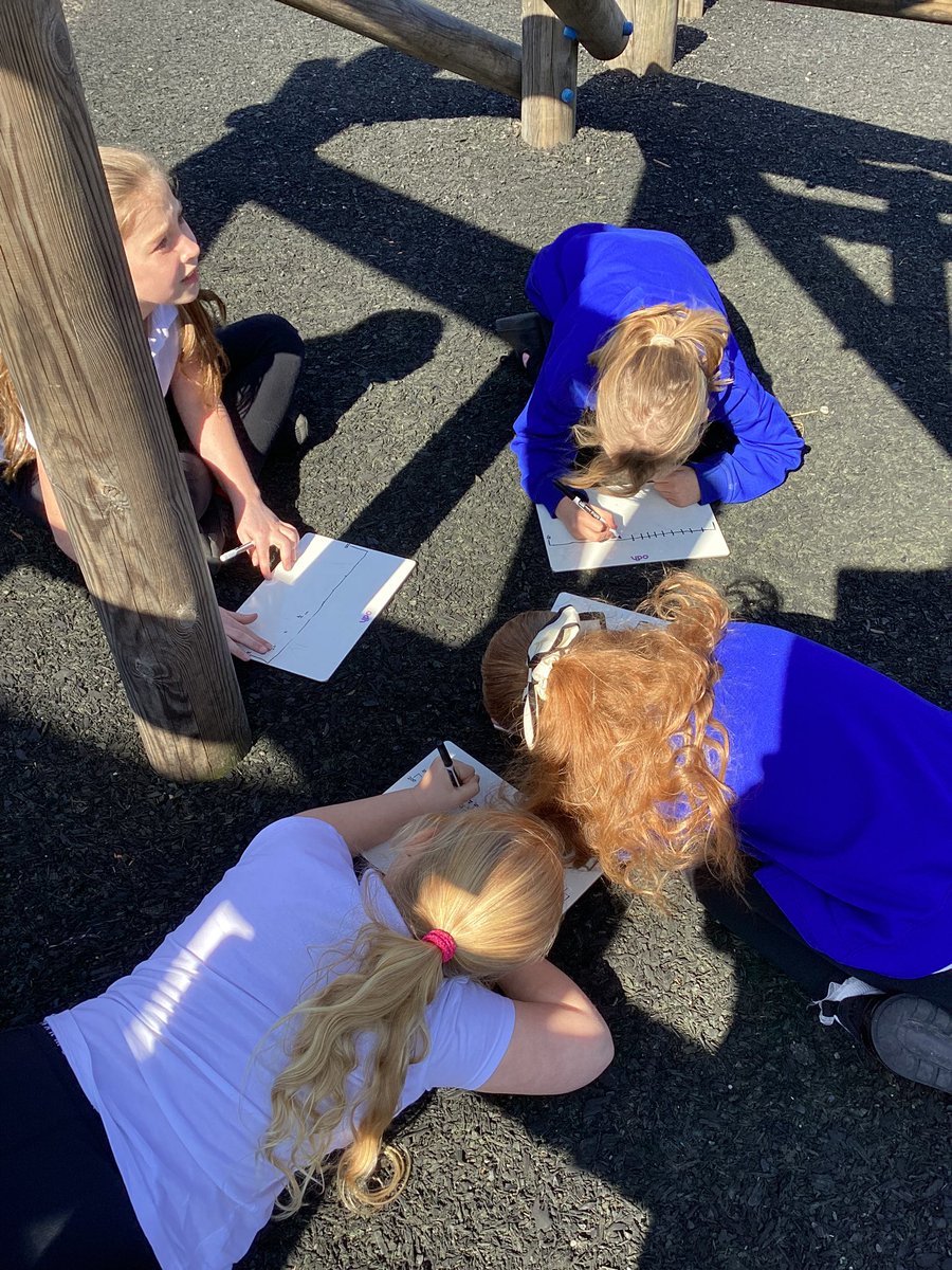 Tang Hall Owls tweet media