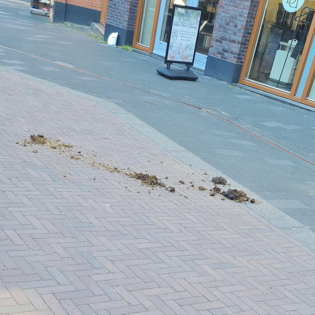 André van Santvliet tweet media
