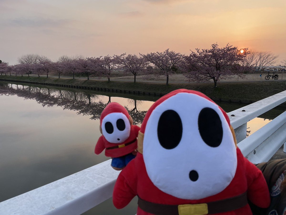 ヘイホーはマスクしてるから花粉症にならなそうね🤧🤧