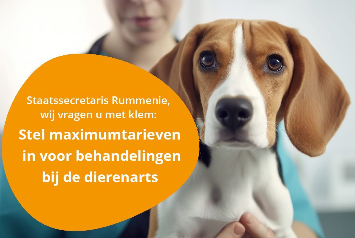 . <a href="/stasLVVN/">Jean Rummenie</a> noemt de fors gestegen dierenartskosten  "uitermate zorgelijk" en wil meer transparantie. Wij zijn blij dat de staatssecretaris onze zorgen en die van 46.747 petitietekenaars erkent en roepen hem op om zsm maximumtarieven voor behandelingen in te stellen.