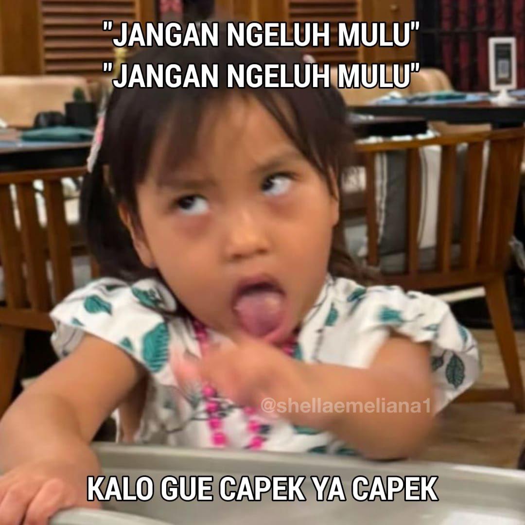 S H E L L A tweet media