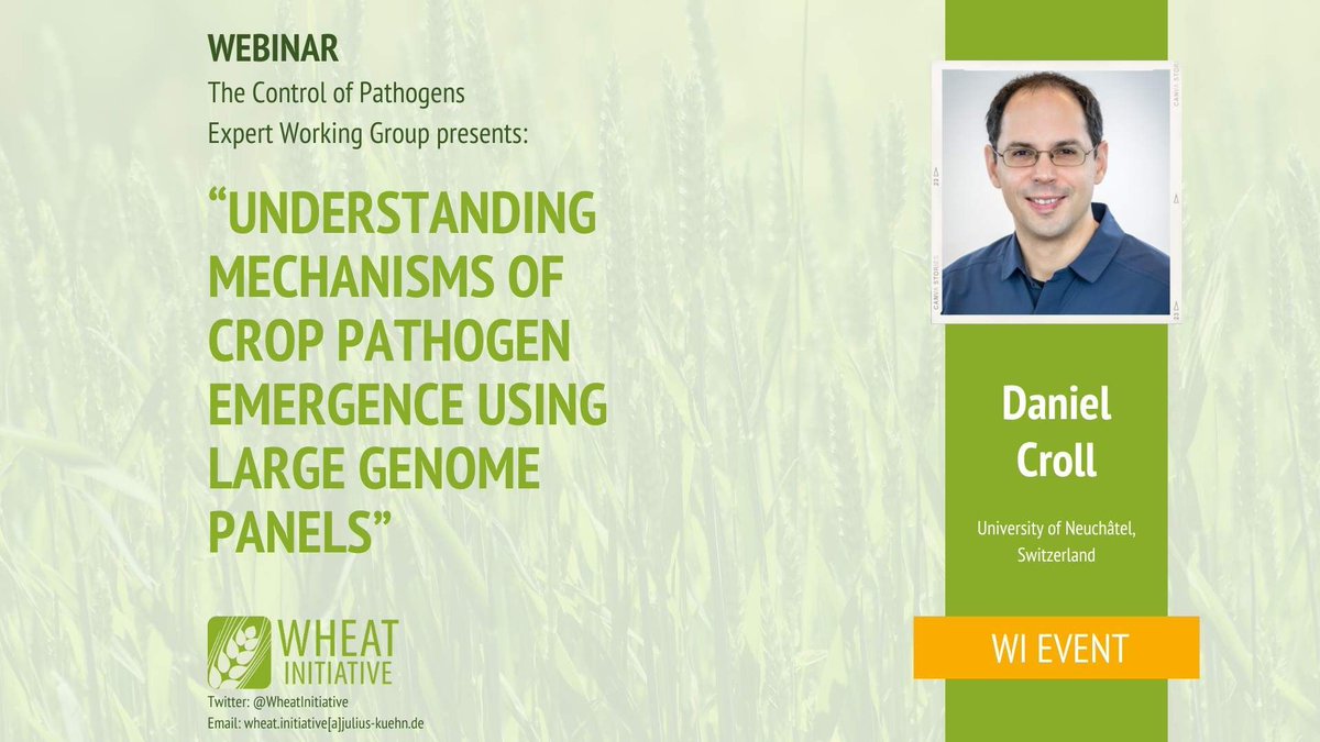 Wheat Initiative (@wheatinitiative) on Twitter photo We are excited to share the lates webinar of our Pathogens Expert Working Group!
“Understanding mechanisms of crop pathogen emergence using large genome panels” by DANIEL CROLL
Find all webinars of this highly engaed group here:
wheatinitiative.org/ewg-pathogens
<a href="/karchuntan/">KC 👨🔬🌾🍄🇦🇺</a>
<a href="/ReemWheat/">Reem Aboukhaddour</a> We are excited to share the lates webinar of our Pathogens Expert Working Group!
“Understanding mechanisms of crop pathogen emergence using large genome panels” by DANIEL CROLL
Find all webinars of this highly engaed group here:
wheatinitiative.org/ewg-pathogens
<a href="/karchuntan/">KC 👨🔬🌾🍄🇦🇺</a>
<a href="/ReemWheat/">Reem Aboukhaddour</a>