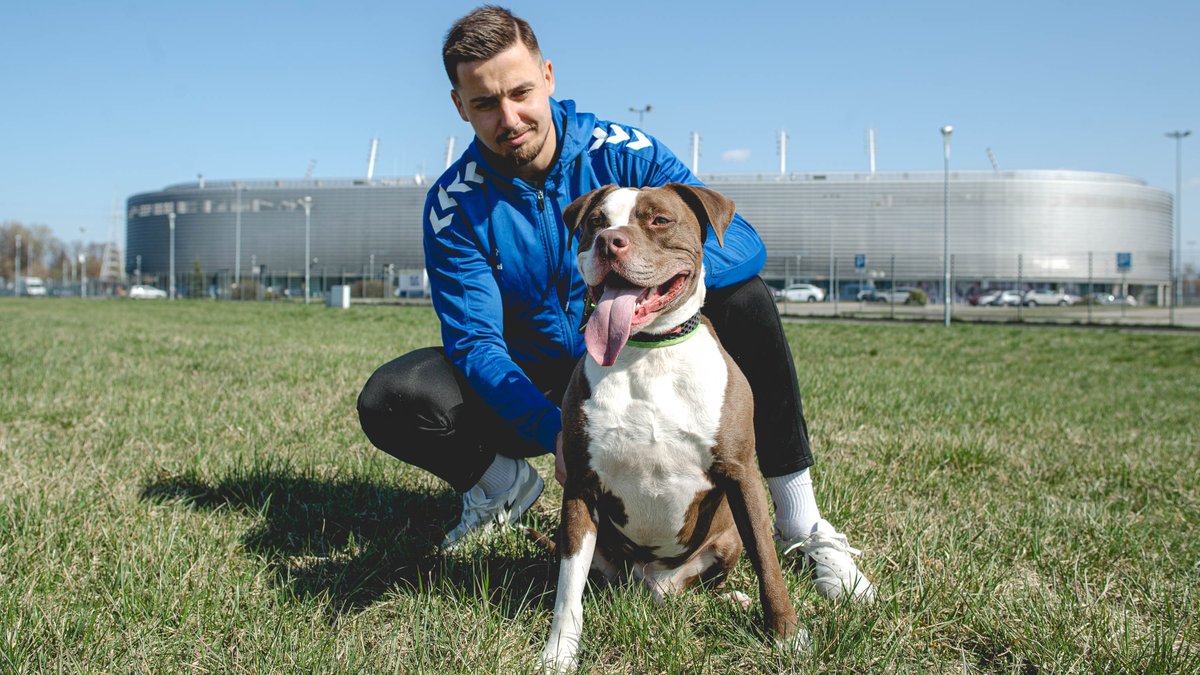 MotorLublin's tweet image. 4 kwietnia obchodzimy Światowy Dzień Bezdomnych Zwierząt 🐾

Z tej okazji odwiedzili nas czworonożni przyjaciele ze Stowarzyszenia Lubelski Animals 🤝🏻 
Nasi zawodnicy mieli przyjemność zapozować z cudownymi zwierzakami, gotowymi do adopcji. Mamy nadzieję, że każde z nich…