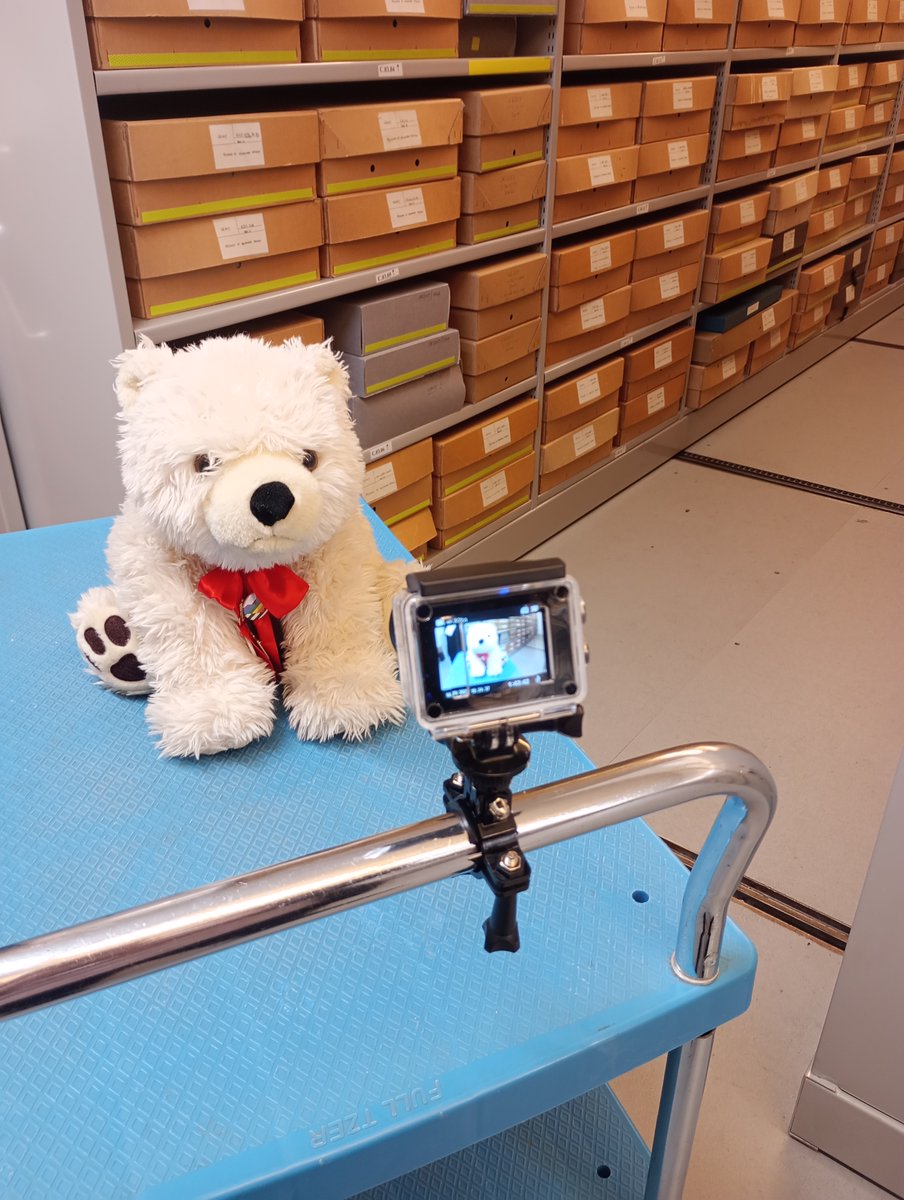 WarwickshireCRO's tweet photo. Lights, Camera, Action! 🎬

Our mascot Chambearlin has a starring role in many of our social media endeavours.

Here is a behind the scenes shot of him in action!

#ExploreYourArchive #Chambearlin #ArchiveAction #Archive30 @ARAScot https://t.co/AH6am3GJTV