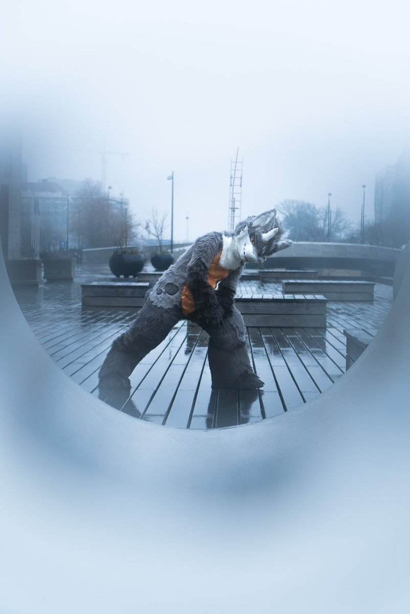 ⚠️ You have been spotted! Combat Mode engaged! 🔥

📸: <a href="/f0x3r_fennec/">Blackbird</a> 
🪡: <a href="/99Daley/">99Daley</a> 

#FursuitFriday