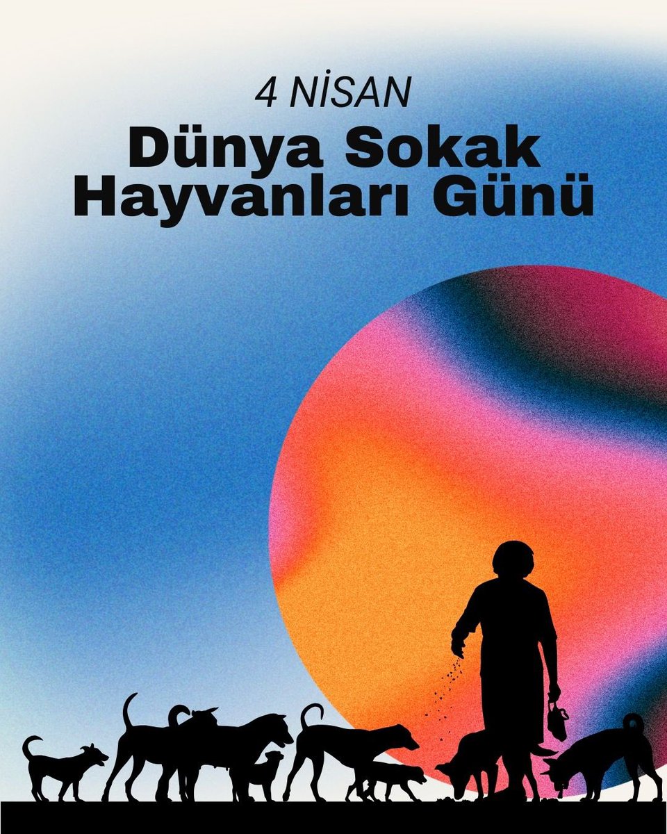 Sahipsiz hayvanlar toplumumuzun bir parçasıdır ve bizlerle aynı yaşam alanını paylaşmaktadır. Ancak açlık, susuzluk, olumsuz hava koşulları ve hastalıklarla mücadele ederken, kimi zaman insan kaynaklı şiddet ve istismara maruz kalmaktadırlar. Sevgiye, merhamete ve korunmaya