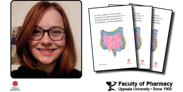 Upcoming #Dissertation 👉 Join as Merve Ceylan defends her thesis with findings that contribute to our understanding of intestinal in vitro models, supporting their application in drug development research ✅ Friday 11 April, 09:15 • BMC room A1:107a ⏰ urn.kb.se/resolve?urn=ur…