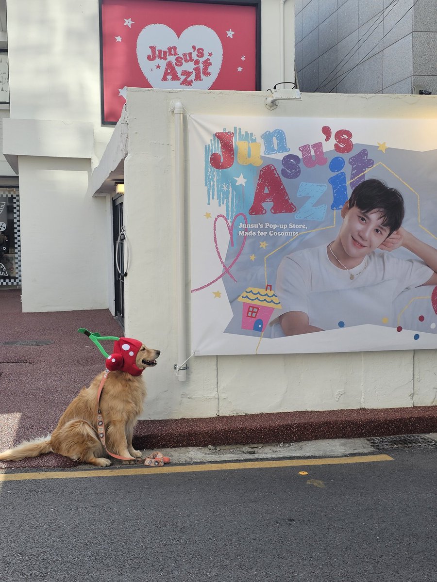 <a href="/sourxia861215/">뜸트🥥자넷🏝</a> 체리대장 형아 안녕🍒