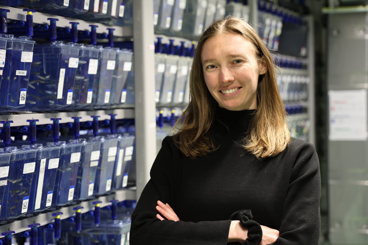IMP (@impvienna) on Twitter photo 🎉Congratulations to our <a href="/jentoft_ida/">Ida Marie Astad Jentoft</a>, postdoc in the Pauli lab on being awarded a HFSP fellowship!
The funding will support her research into the molecular mechanisms that regulate translation during embryonic diapause.
➡️More about the project: imp.ac.at/news/article/h… 🎉Congratulations to our <a href="/jentoft_ida/">Ida Marie Astad Jentoft</a>, postdoc in the Pauli lab on being awarded a HFSP fellowship!
The funding will support her research into the molecular mechanisms that regulate translation during embryonic diapause.
➡️More about the project: imp.ac.at/news/article/h…