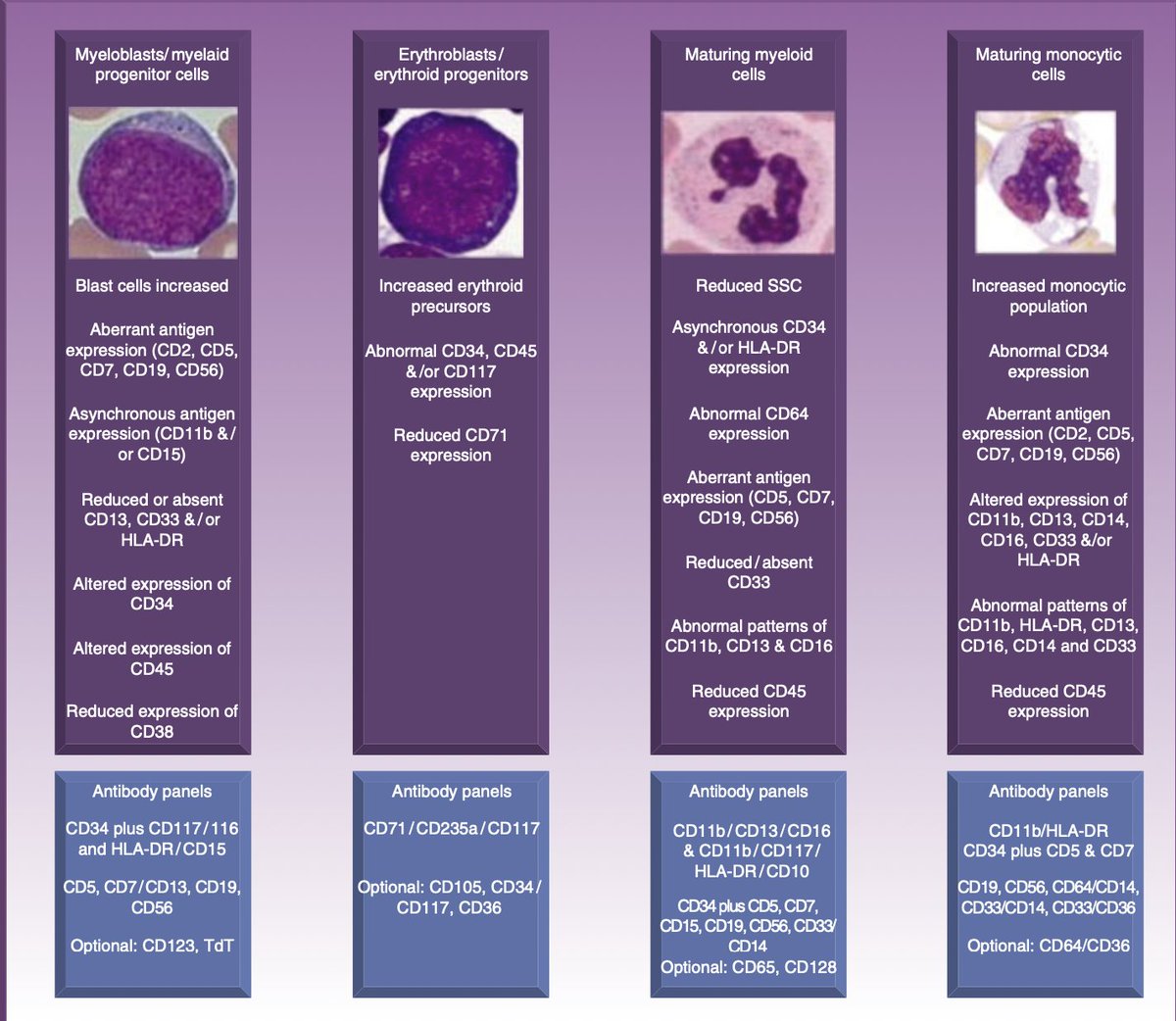 Bread & Butter Haematology tweet media