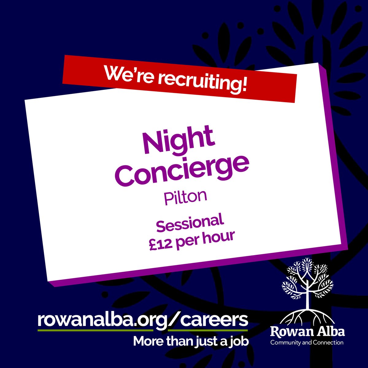 Rowan Alba tweet media