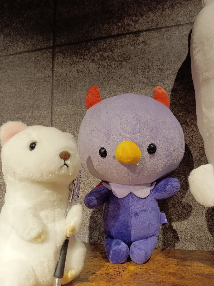 本日の営業無事終了いたしました✨
今日から道楽塾スペースの愉快な仲間に(<a href="/SweetChickClub/">🐤piyoko🐤</a>)のおにに君が追加されたよ😊よろしくね✨
　
明日も道楽塾スペースは13時から営業予定でございます。
日確認や貸切予約は下記URLから確認できます。
space.dorakujyuku.com

 #秋葉原  #アキバ #ボドゲ