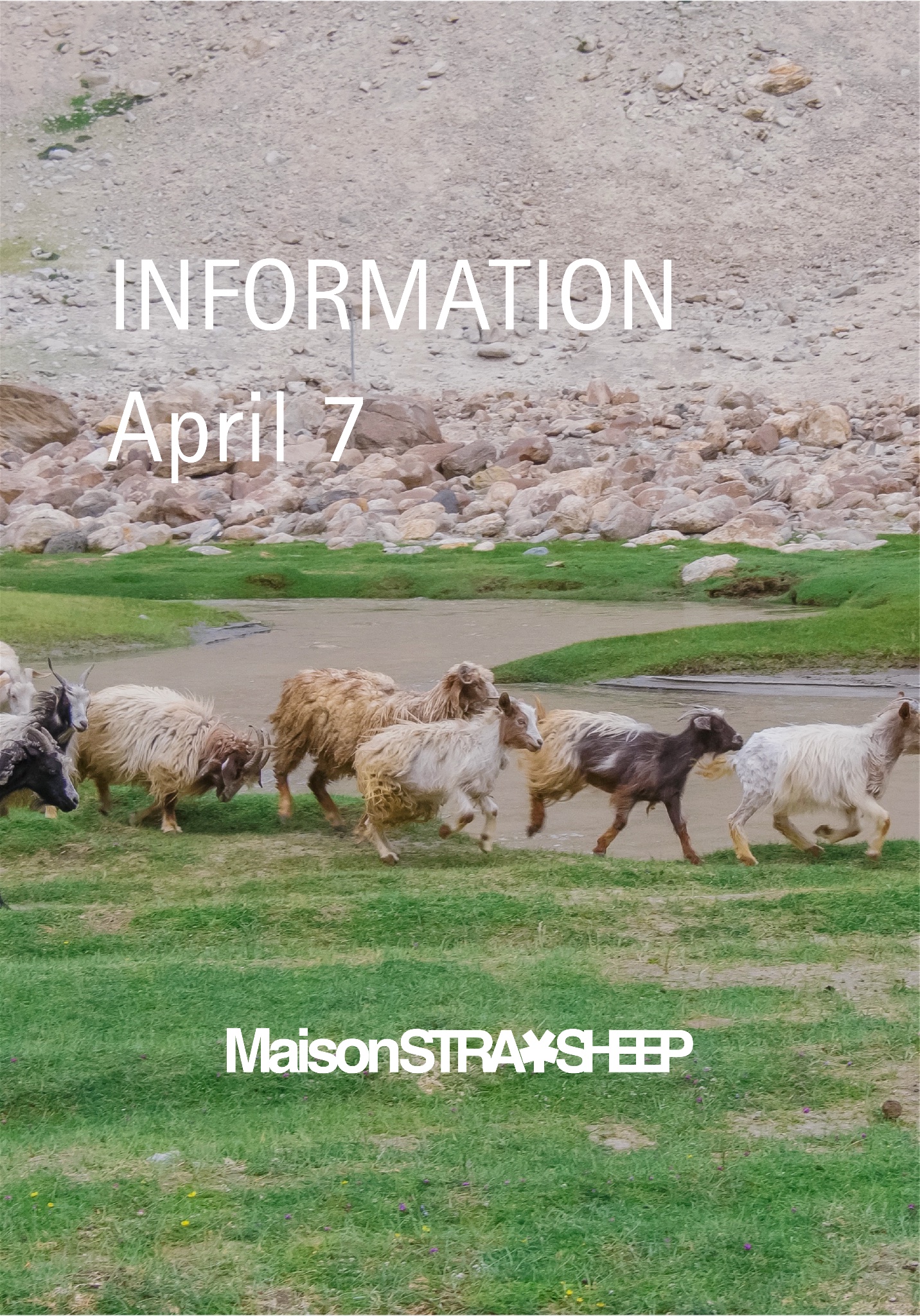 MAISON STRAYSHEEP (@msnstraysheep) / X MAISON STRAYSHEEP (@msnstraysheep) / X