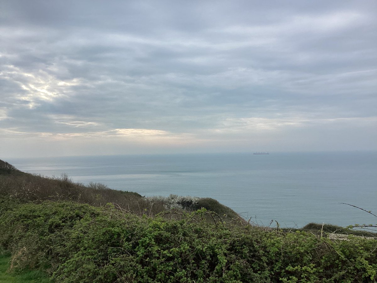 Day 5! Day of the final activities! 🌅🍃