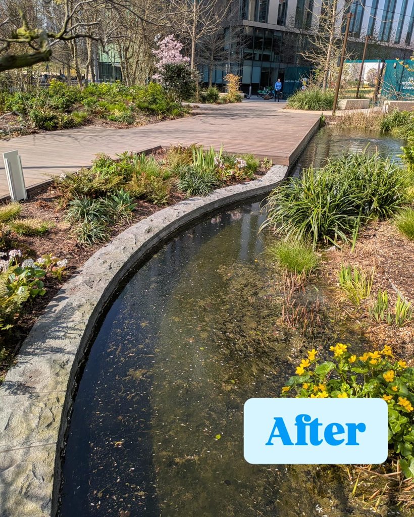 Captaining the new <a href="/OaseUK/">Oase GmbH</a> Lake Therapy  products, Waterscapes have improved the water quality of the water features on this London development. Products such as SeDox, OptiLake, SchlixX Plus &amp; ClearLake have all made amazing improvements, and quickly - happy Client 👏🏻