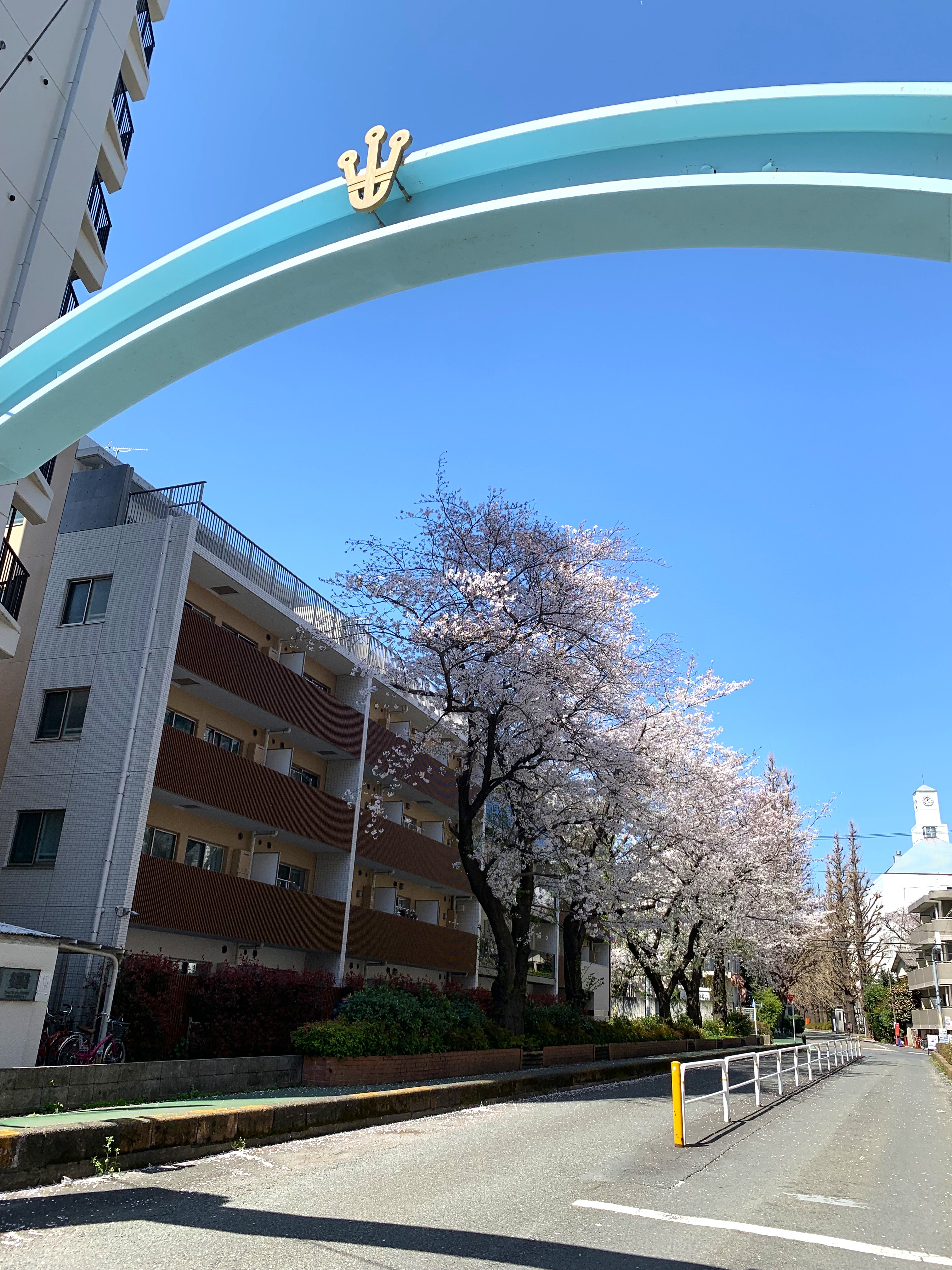 星薬科大学（公式） (@Hoshi_univ) / X