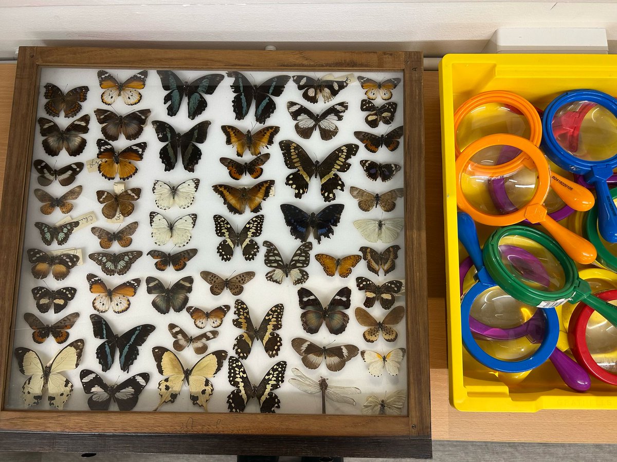 Still some spaces left on today's #MuseumMinis activity at 11am!  Come along and enjoy some songs, stories and activities inspired by our current exhibition Species on the Edge!  11am - 12pm - call 01349 781730 to book. Fpr ages 0-5 years.
#InvMAG <a href="/HLHsocial/">High Life Highland</a> <a href="/InvernessBID/">Inverness BID</a> #InvMAG