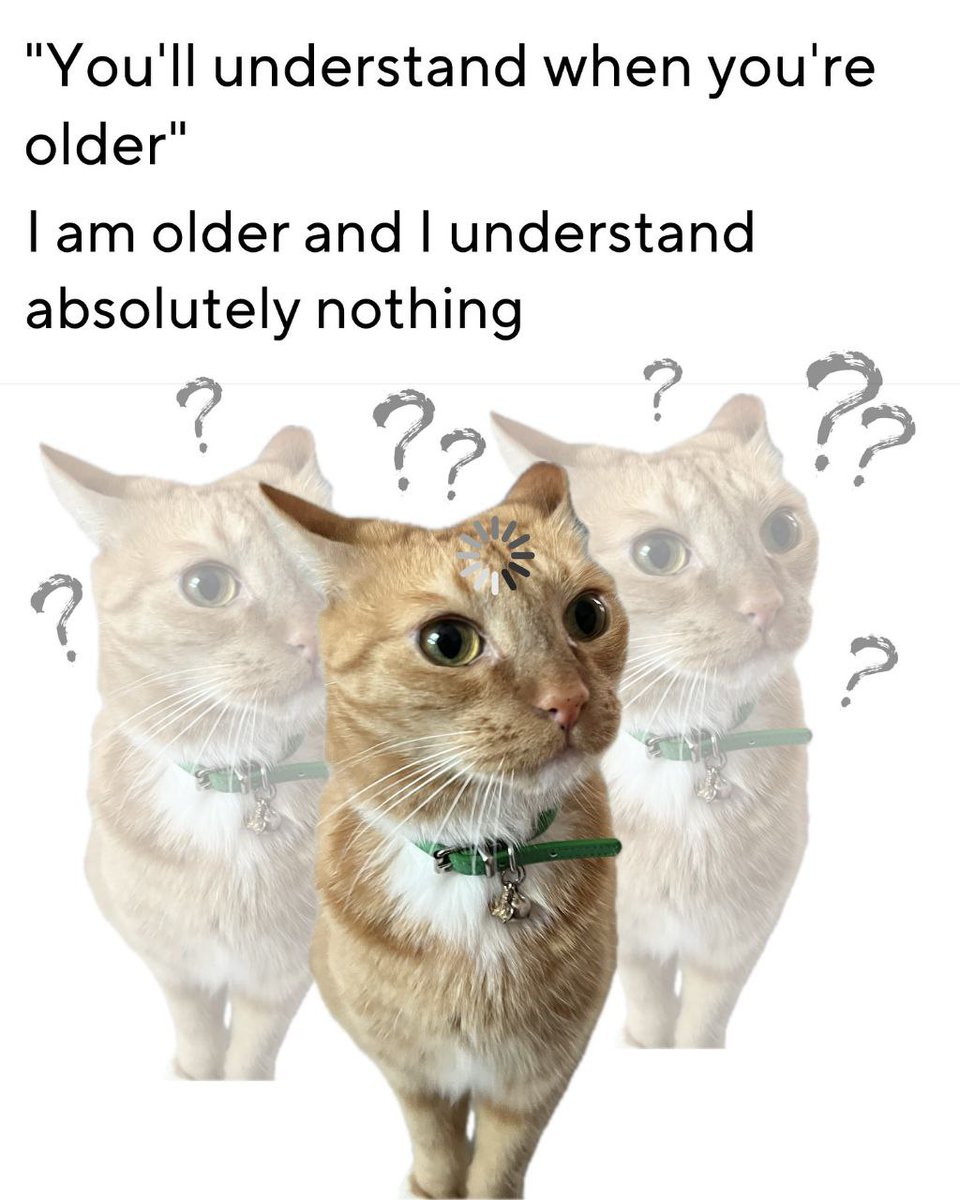 Punch Cat (@punchingcat) on Twitter photo 