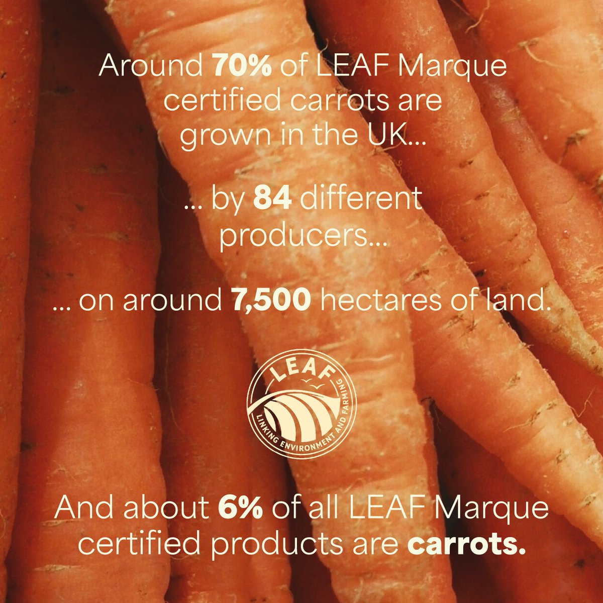 LEAF_Education tweet picture
