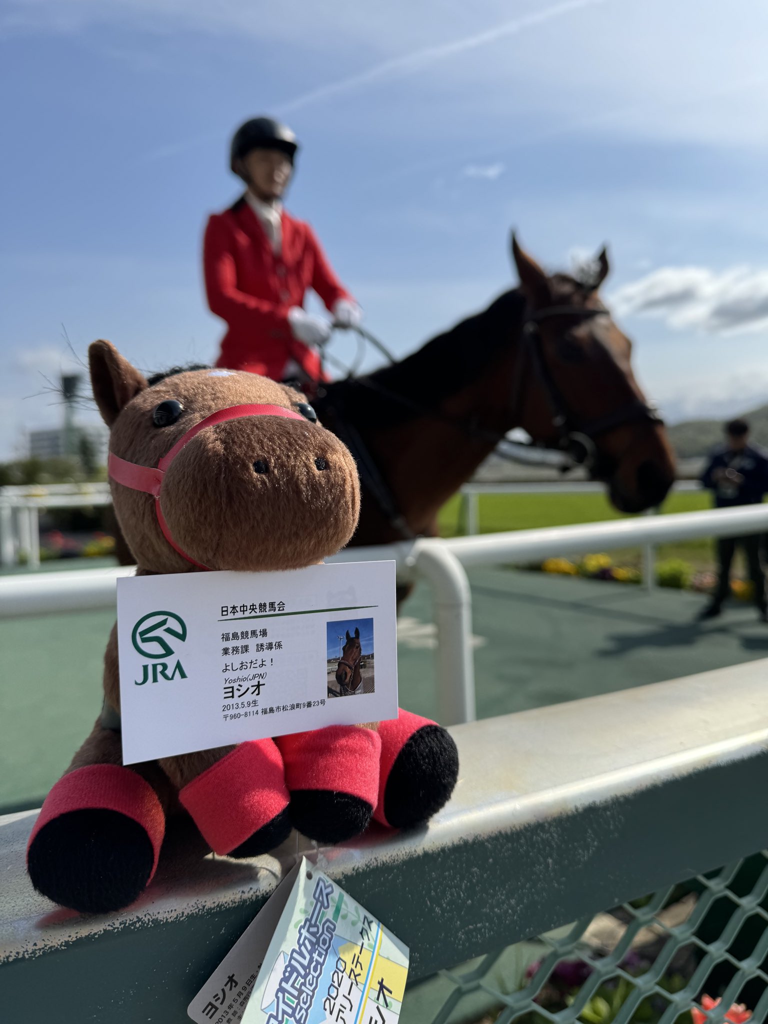 ヨシオ（福島競馬場誘導馬）デビュー戦現地馬券 ヨシオが福島競馬場で誘導馬に 「無事之名馬」を体現した