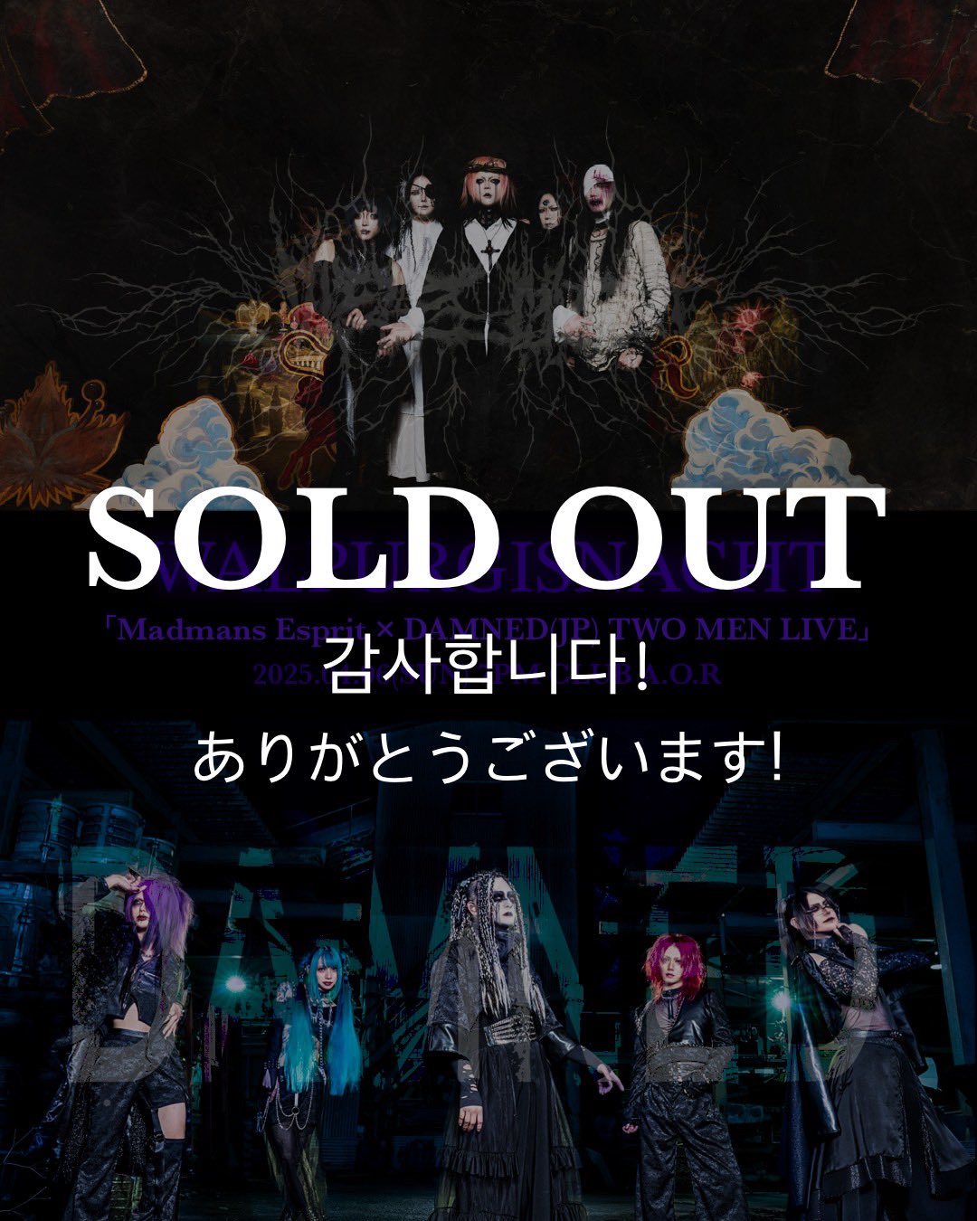 DAMNED official on X:  