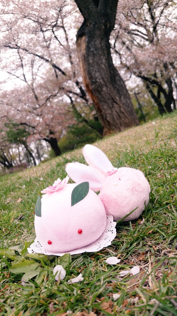 봄이 온 기념🌱
RT해주신 한분께 봄을부르는 꽃토끼를 보내드려요🌸🌸