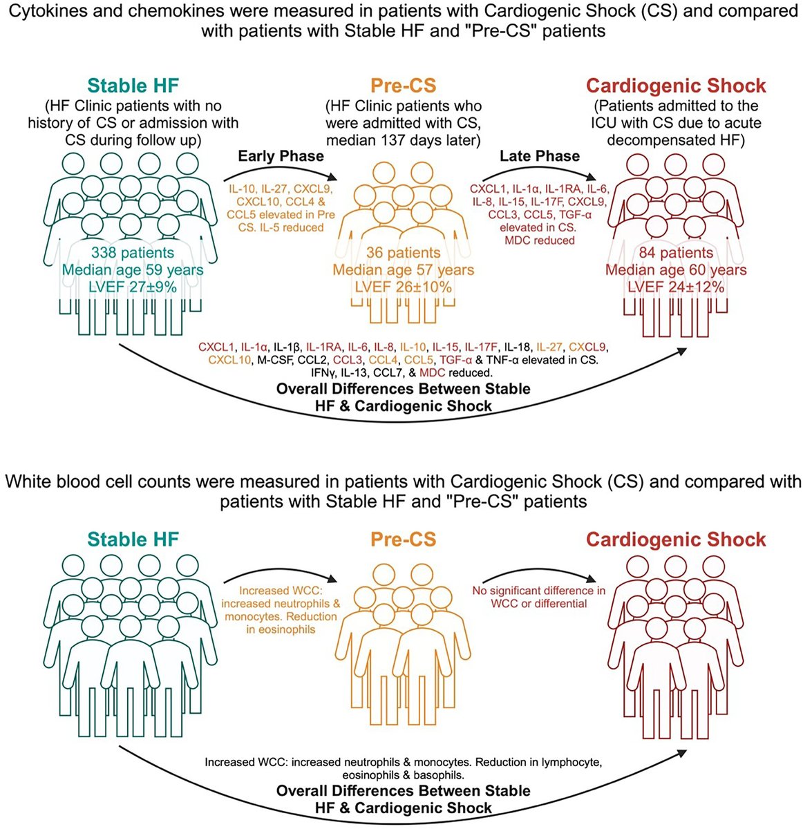 European Society of Cardiology Journals (@esc_journals) on Twitter photo 🔥 New insights into cardiogenic shock & inflammation! 🔥HF decompensation vs. cardiogenic shock shows distinct sequential inflammatory profiles 👉 ow.ly/tcHe50Vhfpy
<a href="/EJHFEiC/">EJHF Editor-in-Chief</a> <a href="/JanBiegus/">Jan Biegus</a> @Ppponikowski #HFA_ESC <a href="/hvanspall/">Harriette Van Spall, MD MPH 🇨🇦</a> <a href="/ShelleyZieroth/">Shelley Zieroth</a> <a href="/FudimMarat/">Marat Fudim, MD MHS</a> <a href="/gcfmd/">Gregg Fonarow MD</a> <a href="/AlexMebazaa/">Alexandre Mebazaa</a> 🔥 New insights into cardiogenic shock & inflammation! 🔥HF decompensation vs. cardiogenic shock shows distinct sequential inflammatory profiles 👉 ow.ly/tcHe50Vhfpy
<a href="/EJHFEiC/">EJHF Editor-in-Chief</a> <a href="/JanBiegus/">Jan Biegus</a> @Ppponikowski #HFA_ESC <a href="/hvanspall/">Harriette Van Spall, MD MPH 🇨🇦</a> <a href="/ShelleyZieroth/">Shelley Zieroth</a> <a href="/FudimMarat/">Marat Fudim, MD MHS</a> <a href="/gcfmd/">Gregg Fonarow MD</a> <a href="/AlexMebazaa/">Alexandre Mebazaa</a>