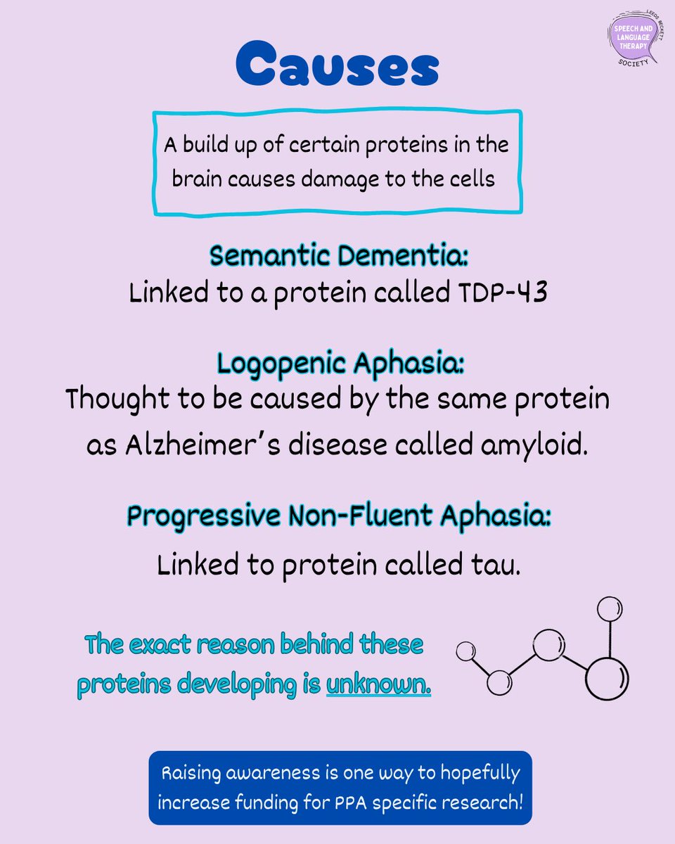 We are so excited that today is the first Primary Progressive Aphasia Awareness Day!! 

Please take some time today to learn about what PPA is, how it impacts people and how we can support people living with PPA 🩵 (1/3)

#PPAawareness #mysltday #slt2b #primaryprogressiveaphasia
