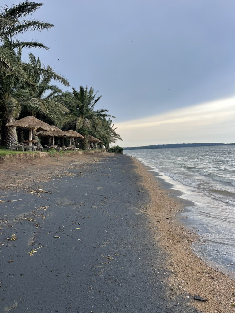 Hasfah Zalwango tweet media