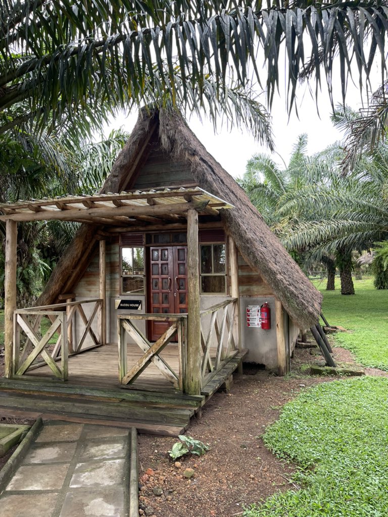 Hasfah Zalwango tweet media