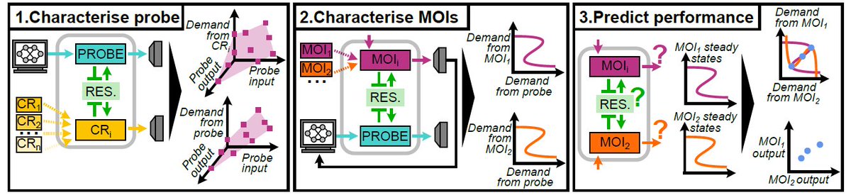KSechkar's tweet image. NEW PREPRINT! Do you think we can do better when characterising resource competition properties of gene circuit modules? If no, think again; if yes, you’re in for a pitch how exactly we can do that – automated culturing, cybergenetic control and all! 1/
doi.org/10.1101/2025.0…