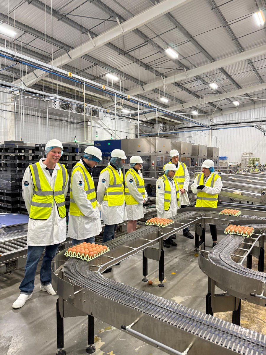 FutureFarmerYAS's tweet image. Big thanks to Chippindale Foods for taking us behind the scenes this week - we looked at the journey of eggs from farm to carton, and discussed everything from global markets to hen welfare.

Join our membership to find out about future opportunities ▶️ yas.co.uk/futurefarmers/
