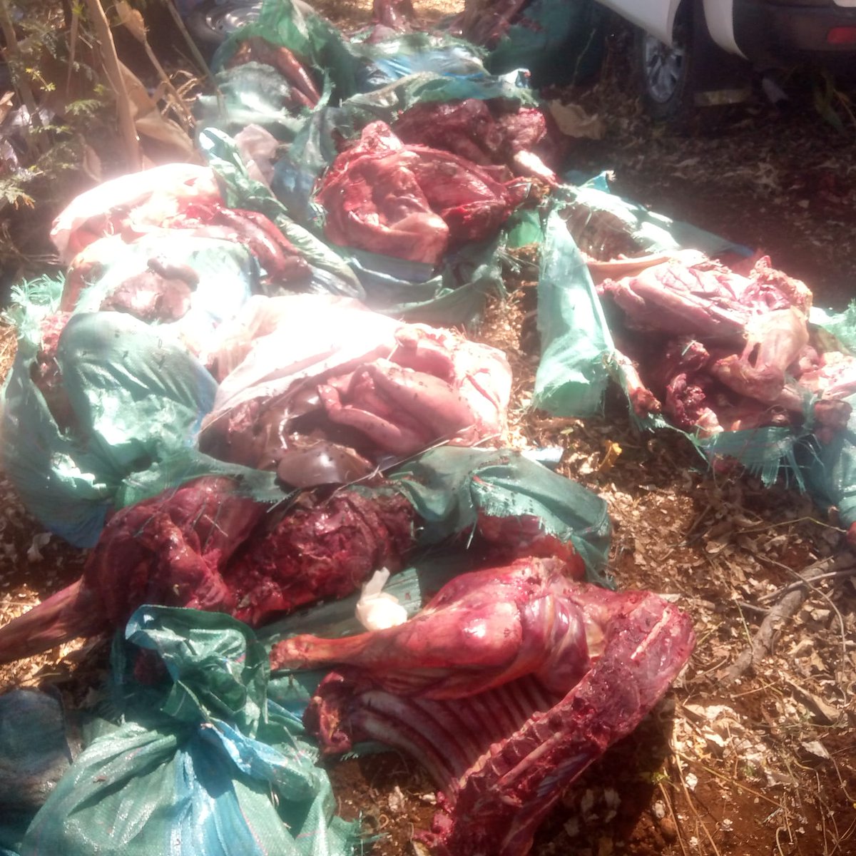 Kotsocha_ke's tweet photo. Donkey meat fraud in Nairobi markets is an issue that needs to stop. Misleading consumers by selling donkey meat as beef is a public health risk! #StopFoodFraud #MeatSafety https://t.co/TxQ2qxGfzR