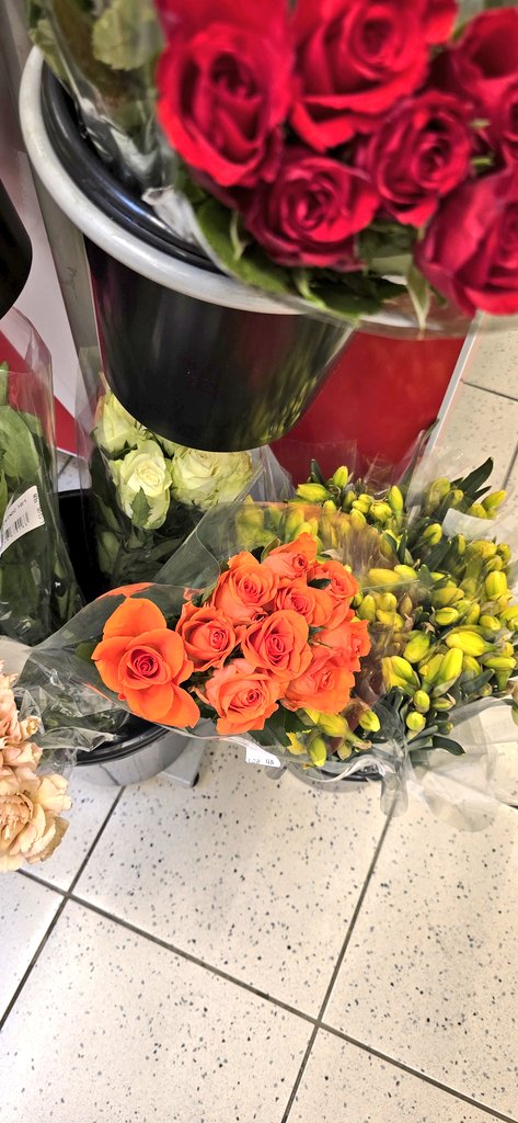 DrAlenka's tweet photo. Vijolice so vijolične, ti runkl. Gdo je reko, da so plave?
Ajši šampionsko po štengah.
Pa če gdo ugane, kira barva vrtnic mi je najljubša, dobi za nagrado sončen petek. #HBDJP pa da je jutri #alpistrucka pa #atopicexpo. https://t.co/iZ5HUykfXq