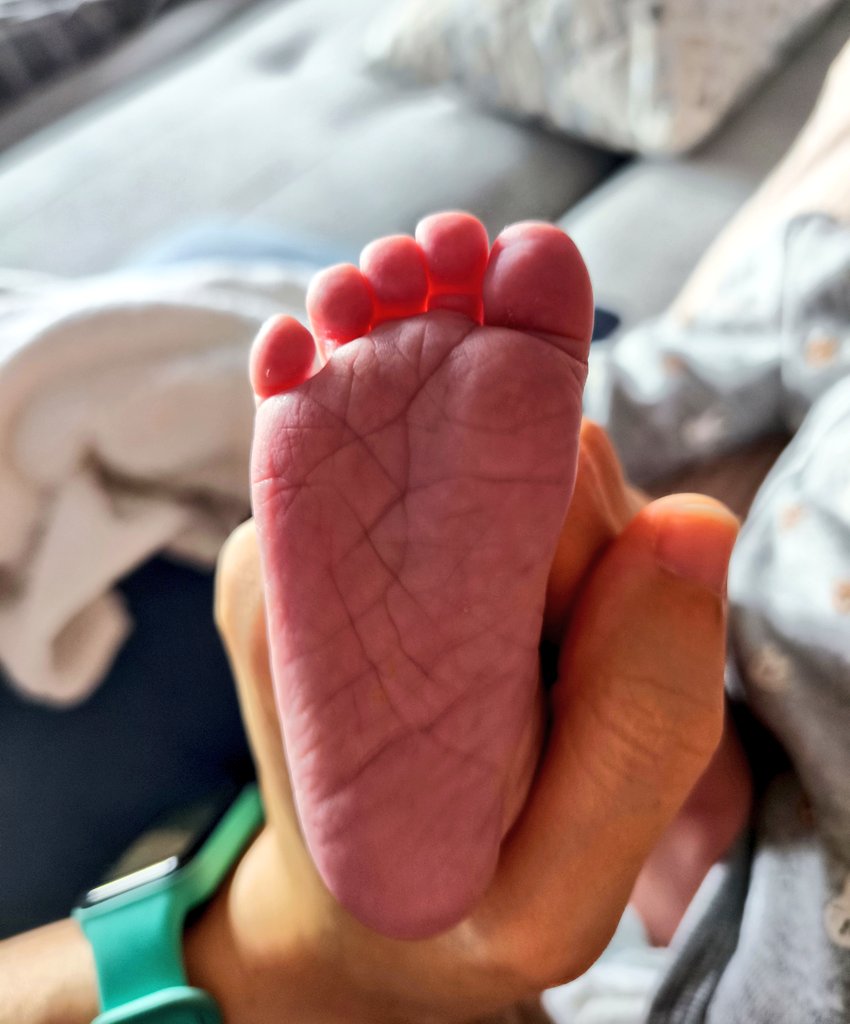 Egun on! 😊
#Dirua-k erosi ezin duena
#sasitxiotx
#asteanbehin