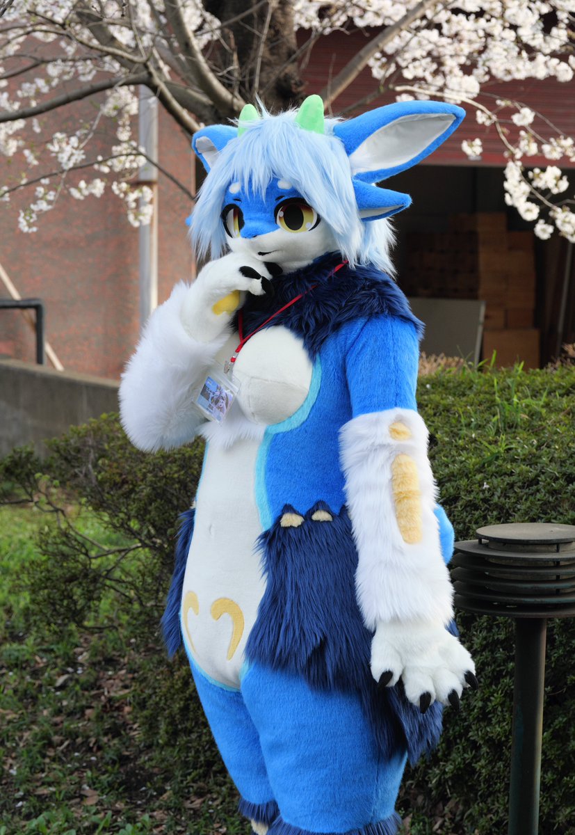 Kemono Mix (@kemono_mix) on Twitter photo 【ご依頼品のご紹介🍨】
鷹嵐様(<a href="/youran2/">鷹嵐 ワクチン7回目→イベント未定</a> )からのご依頼でセレーネーちゃんを制作させて頂きました!
幻獣種族のフェーリダエの女の子です!❤️
腰部分のヒラヒラと大きなお耳がチャームポイントとなってます!✨
見かけたらお写真を撮ってくださいね!📷
🪡着ぐるみ制作 : コウ 【ご依頼品のご紹介🍨】
鷹嵐様(<a href="/youran2/">鷹嵐 ワクチン7回目→イベント未定</a> )からのご依頼でセレーネーちゃんを制作させて頂きました!
幻獣種族のフェーリダエの女の子です!❤️
腰部分のヒラヒラと大きなお耳がチャームポイントとなってます!✨
見かけたらお写真を撮ってくださいね!📷
🪡着ぐるみ制作 : コウ