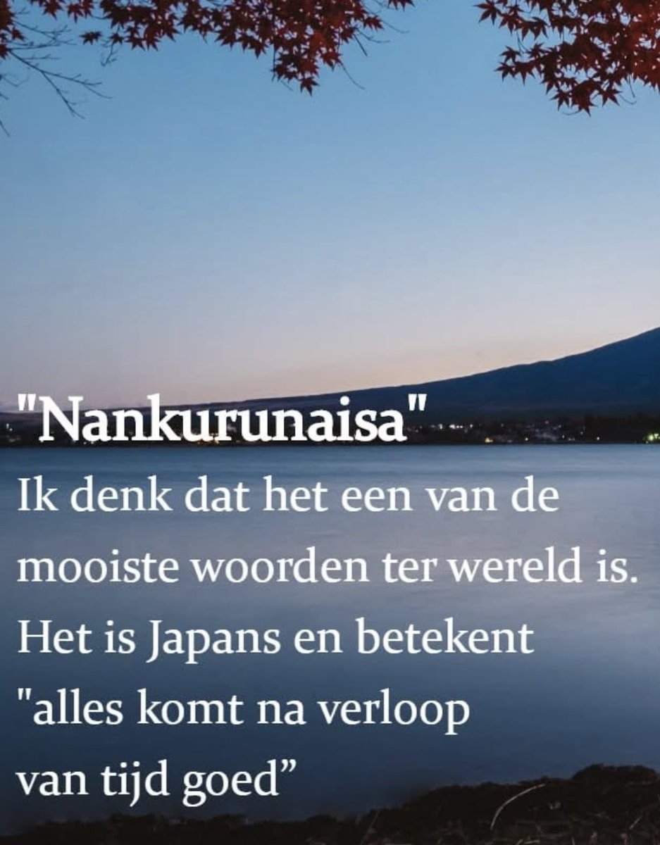 AnjaFonck's tweet photo. https://t.co/MqCv82fhGV
