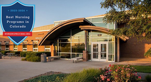 nursingprocess tweet media