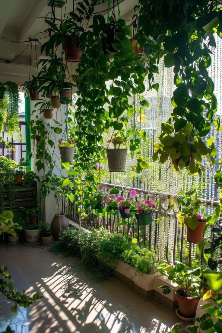 Therapy is overrated , you only need a sunlit balcony with beautiful plants to heal yourself