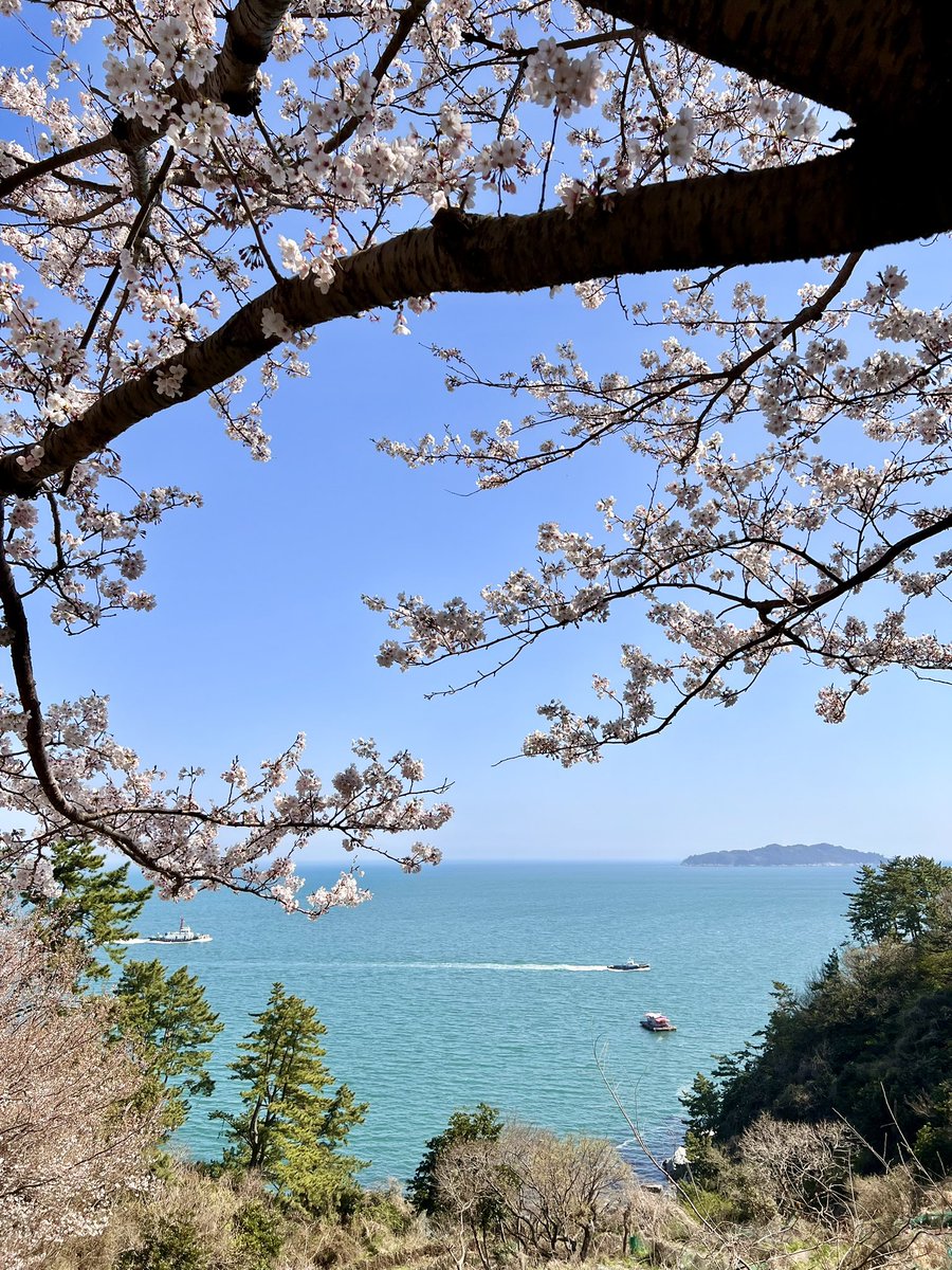 맑고 개운하다.