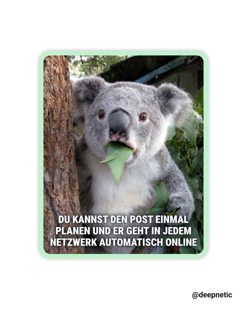 deepnetic_de's tweet photo. Machst du es dir einfach oder schwer? #deepnetic #deepneticsocial #socialmediatool #socialmediamanagement #meme https://t.co/AEbOCwswQ8