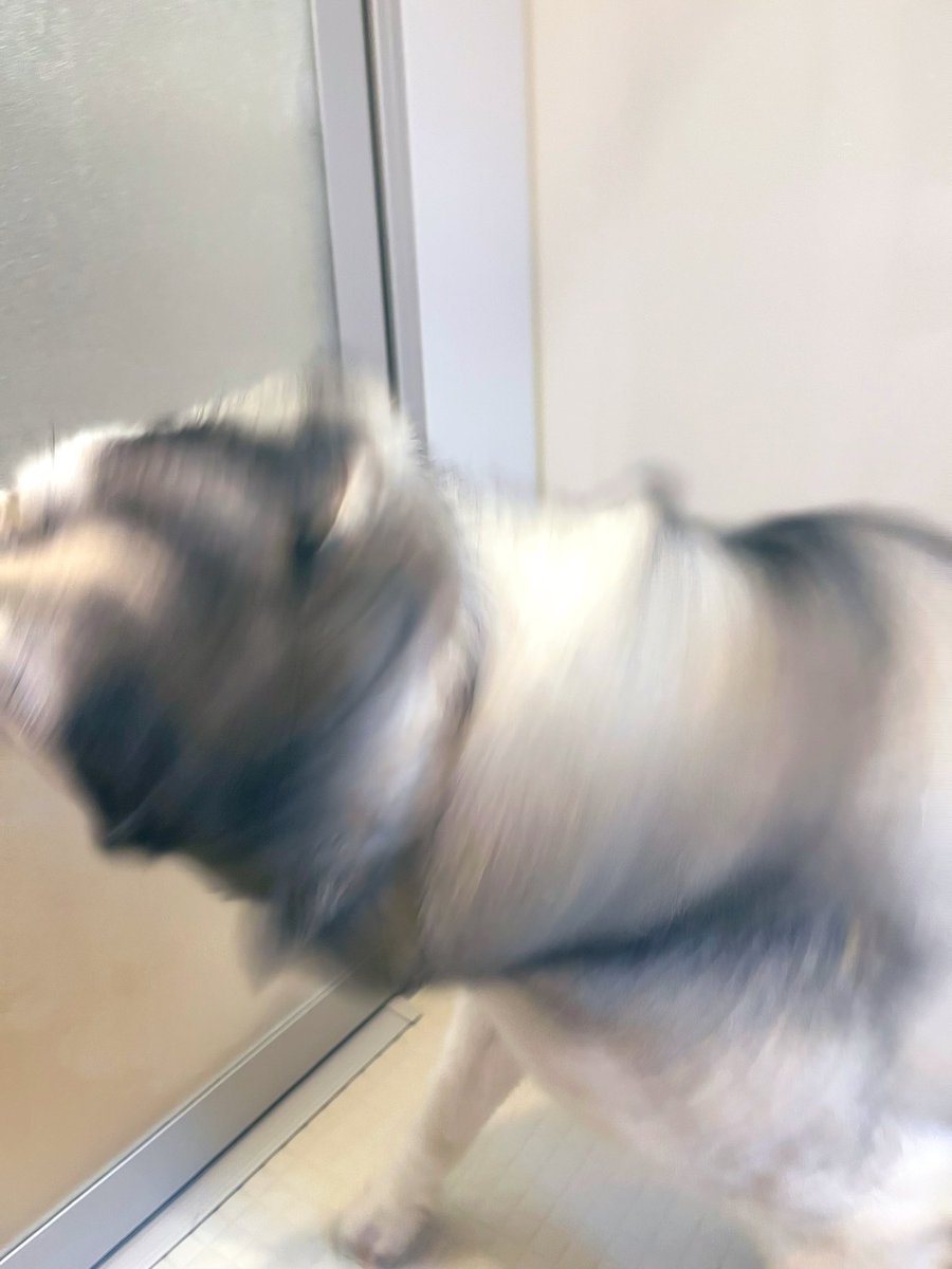 うわぁぁぁあぁぁぁ