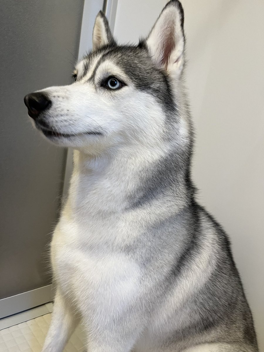 ビューティーサロン 自宅
after