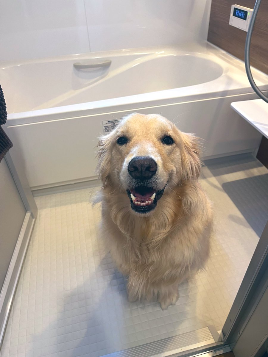 ﾁｮｯﾄﾊﾔｸｱﾗｯﾃﾖ