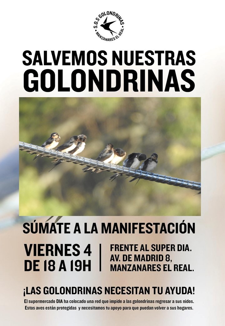 #EchaUnaMano
#DefensaDeLaNaturaleza
#FaunaAliada
#BiodiversidadUrbana