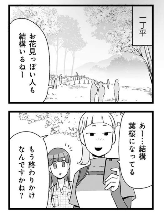 葉っぱと一緒に咲くのが山桜
終わりじゃないのです 