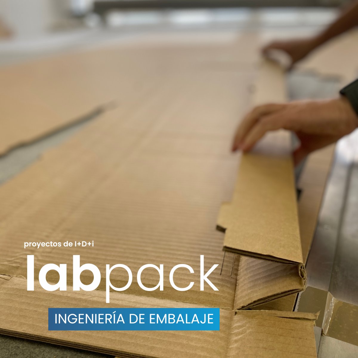 alfilpack's tweet image. ➡️En #Alfilpack aplicamos #ingeniería y #reingeniería al #embalaje para optimizar la logística y protección en múltiples sectores. Desde movilidad y cerámica hasta química y alimentación, diseñamos soluciones de embalaje eficientes, seguras y sostenibles.