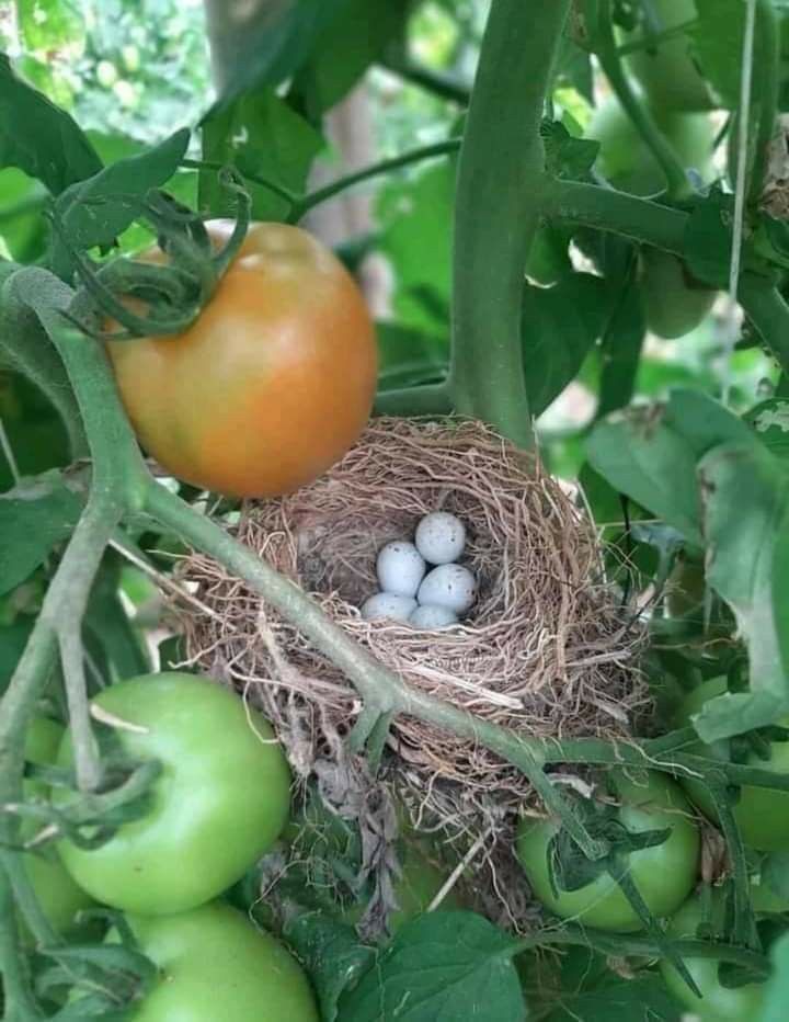 <a href="/labrotge07/">Labrotgé</a> <a href="/silvano_trotta/">SILVANO TROTTA OFFICIEL</a> هذه الفضاءح كلهايحب أن تتوقف وأن نعمل على كامل الجبهات ونكون ناشطين حقيقيون ومن يعمل اي ينشط بهاي المجال غيرممكن أن لايكون له راتب ووثاءق وجوازسفرحتى يستطيع التنقل من بلدإلى آخرقصدالتبليغ والمرفعات لصالح المناخ لأشخاص الذين يتناولون هذه القضيةيجب تعيينهم من طرف جهات معنية؟!(يتبع)