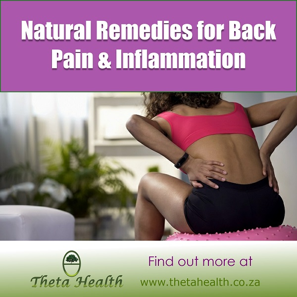ThetaHealthSA's tweet image. Don&apos;t Let Back Pain Hold You Back

A common problem people experience at some time in their life is BACK PAIN. 

But there&apos;s more: thetahealth.co.za/blog/?natural-…

#backpainsolution #backpaintreatment #backpaintips #BackPain